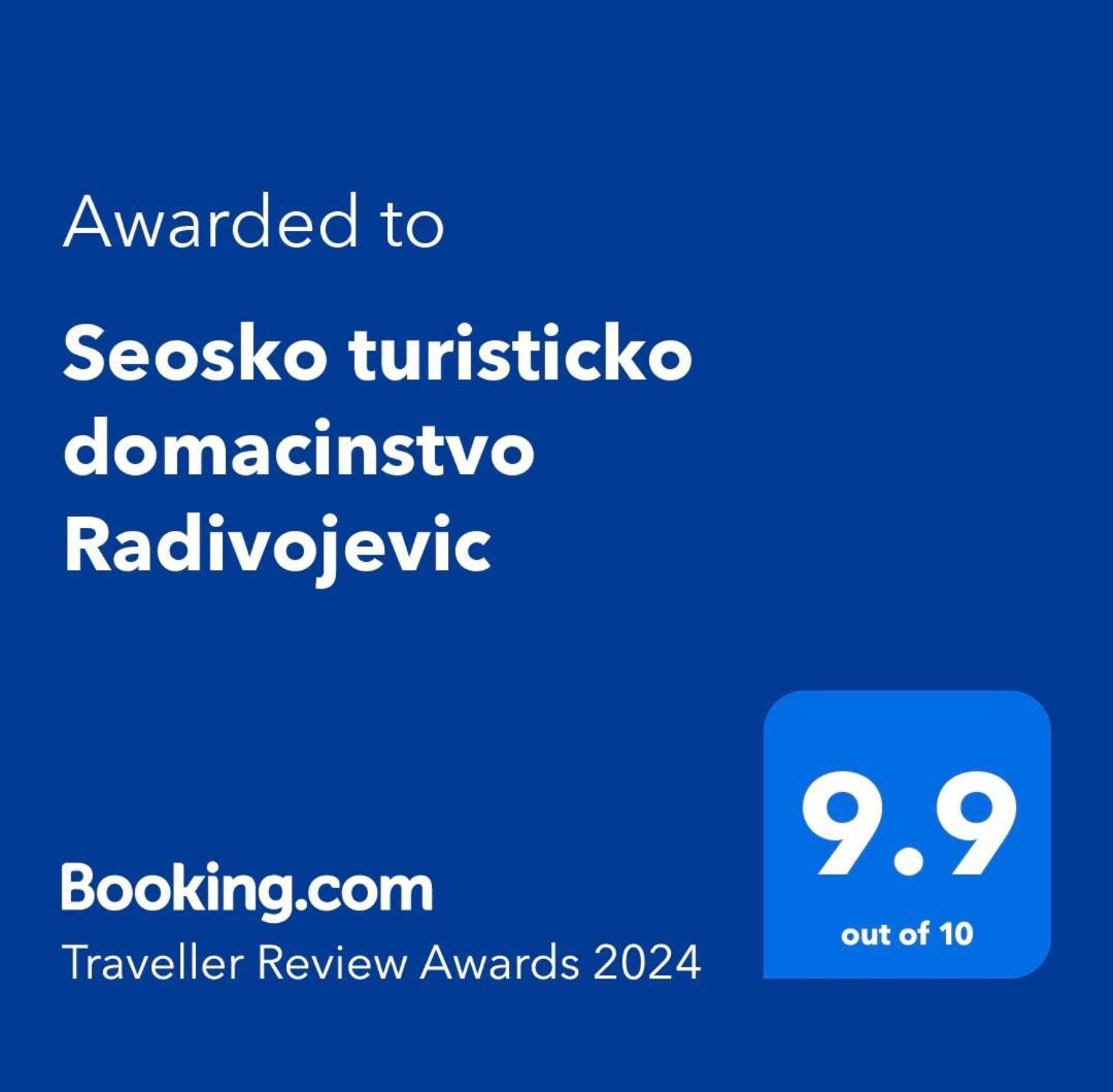 Seosko Turisticko Domacinstvo Radivojevic Βίλα Τσάτσακ Εξωτερικό φωτογραφία